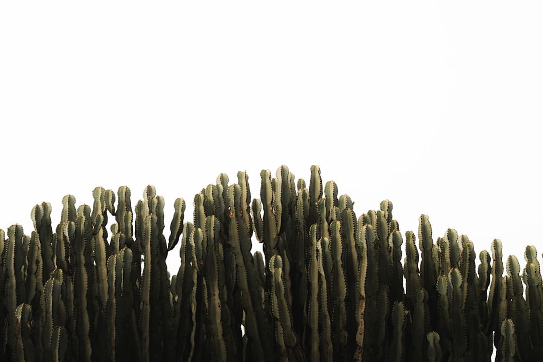 艺人张晋自曝，和蔡少芬游览突发心脏病，差点死掉
